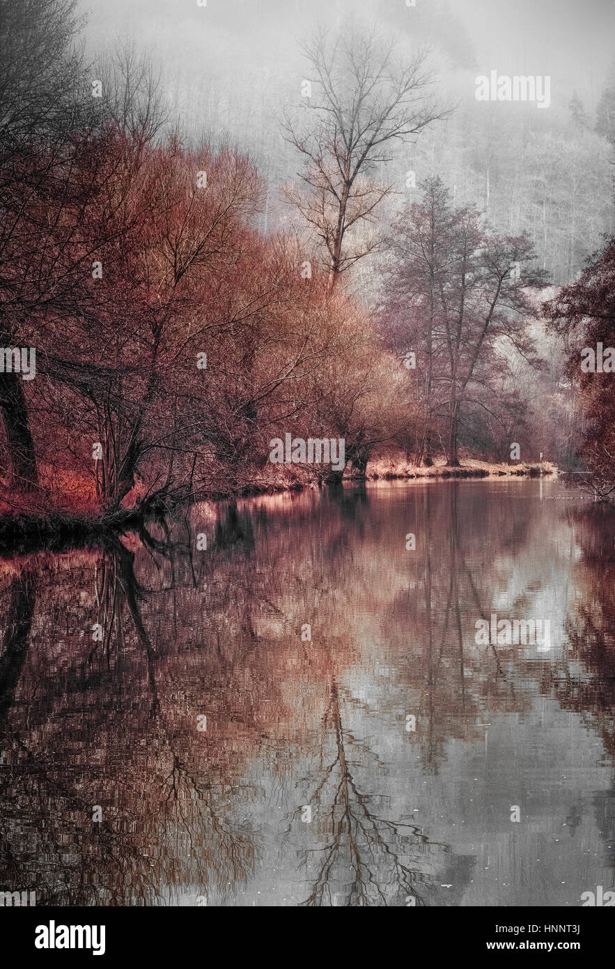 idyllic misty snowy retro color riverside,old trees reflecting on the water,vintage painting style,moody landscape impression Stock Photo