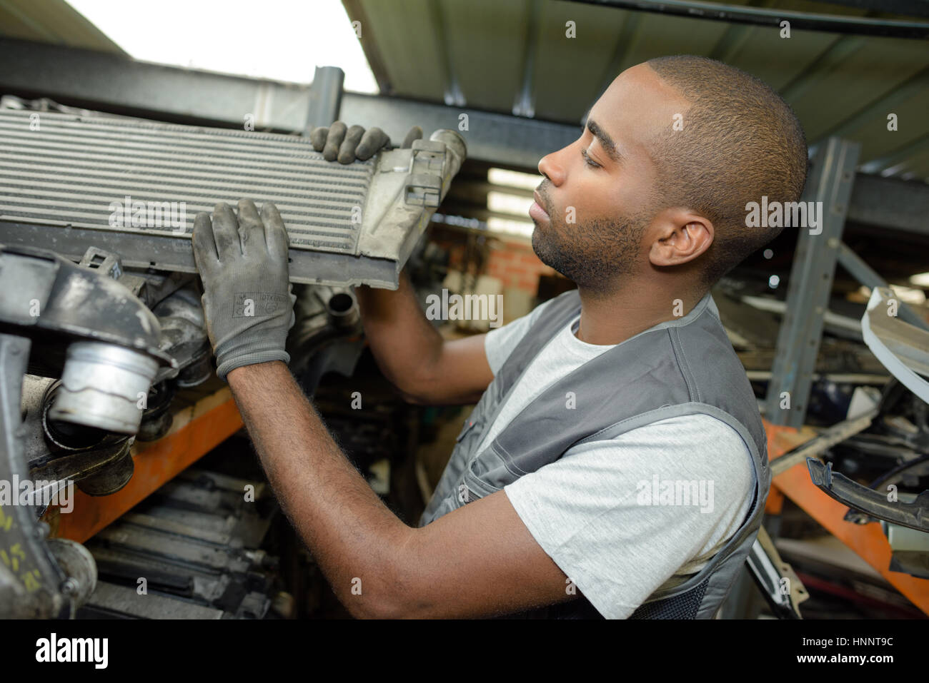 sorting out things Stock Photo Alamy