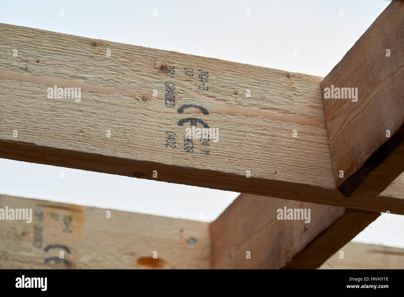 row of wooden roof ce stamped rafter timbers in extension construction in the uk Stock Photo