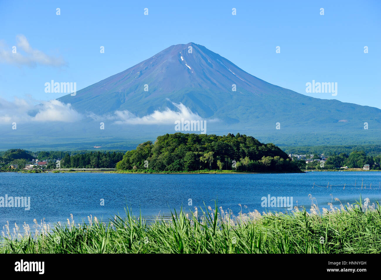 Mt.Fuji and Kawaguchi lake in summer Stock Photo