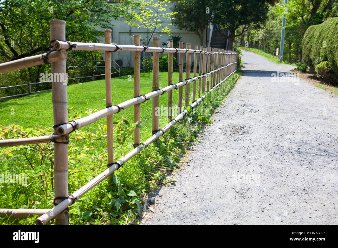Bamboo fence is along ground road in countryside of small Japanese village. Japan Stock Photo