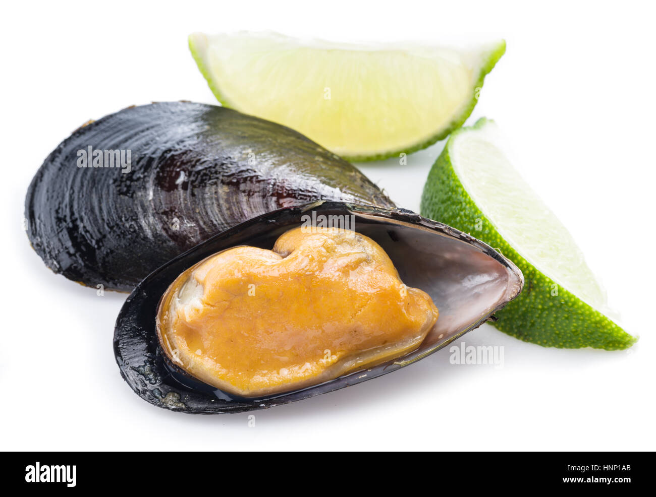 One boiled mussel on a white background. Stock Photo