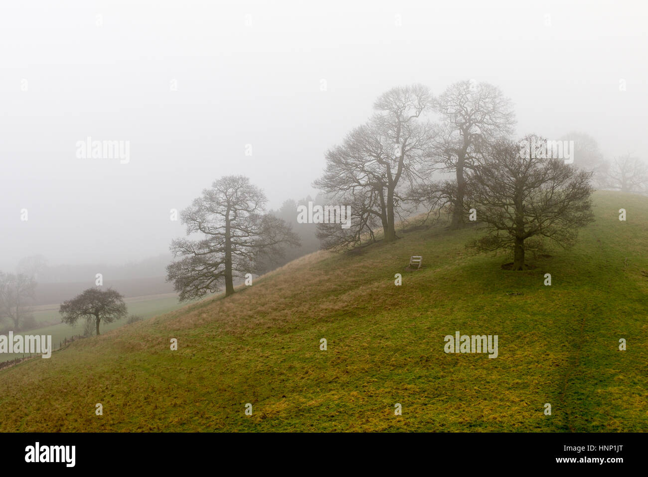 Robin Hoods hill Iron age burial mound ,Oxton Nottinghamshire,UK Stock