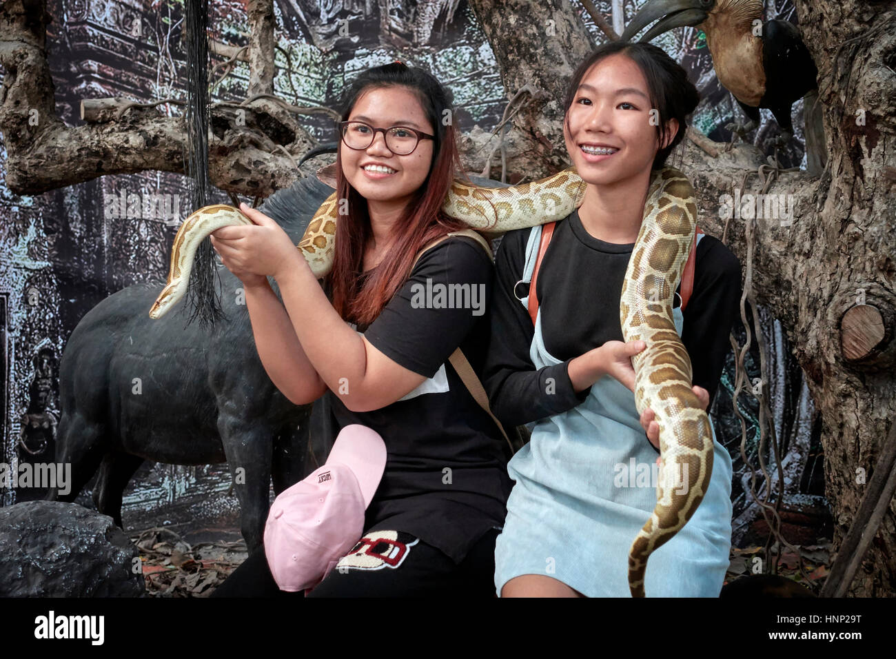 People interacting with wildlife. Two Thai girls handling a large Python snake at a local zoo. Thailand Southeast Asia Stock Photo