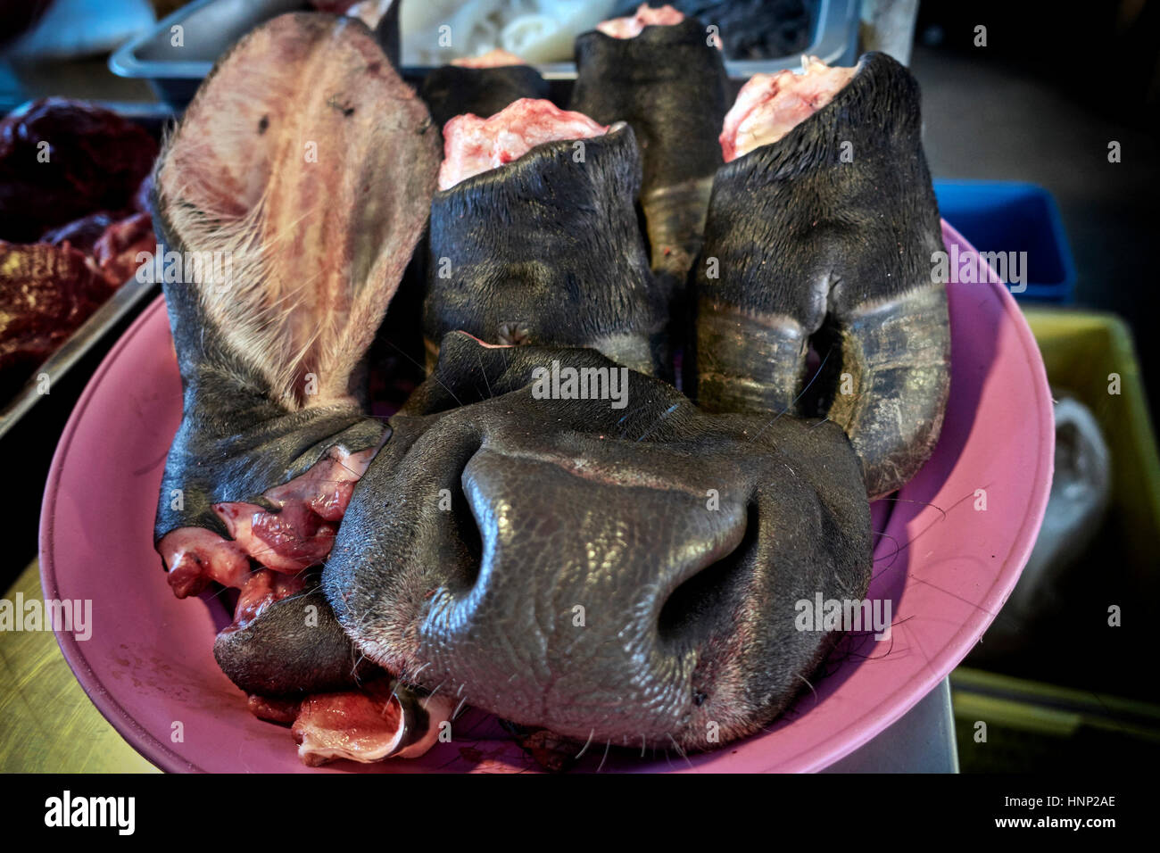 Tilfredsstille køkken Mariner Unusual food. Buffalo meat cuts for sale. Thailand, Southeast Asia Stock  Photo - Alamy