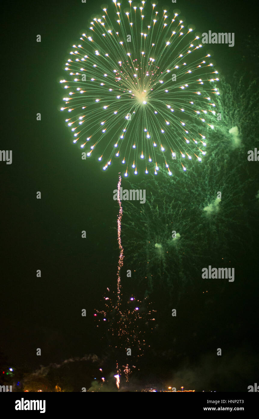 Bright firework explosions on the night sky. Stock Photo