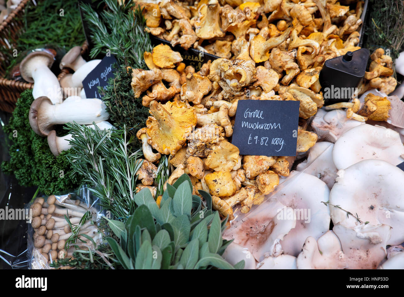 Small trays with various mushrooms chanterelle and girolle on display on stall at Borough Market in Southwark, South London, UK  KATHY DEWITT Stock Photo