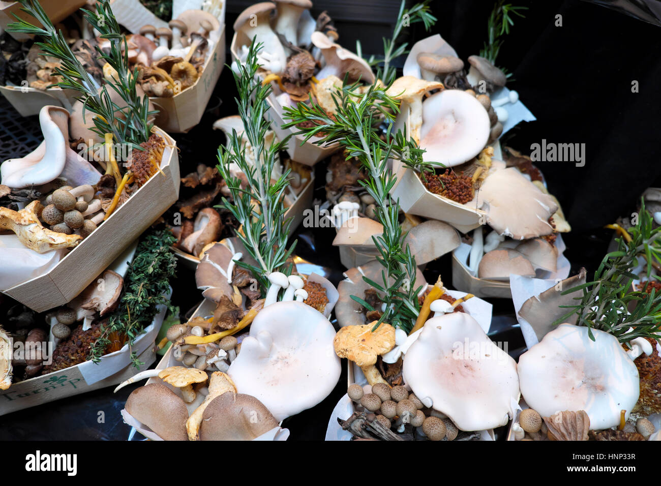 Small trays with selection of various mushrooms on display on stall at Borough Market near London Bridge in Southwark, South London, UK  KATHY DEWITT Stock Photo