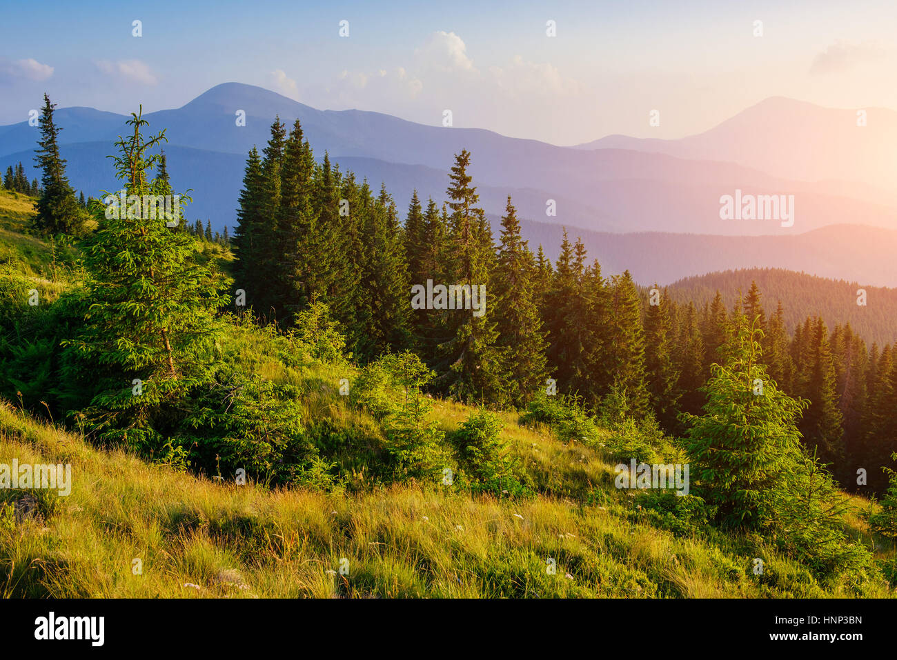 Fantastic foggy day and bright hills by sunlight Stock Photo - Alamy