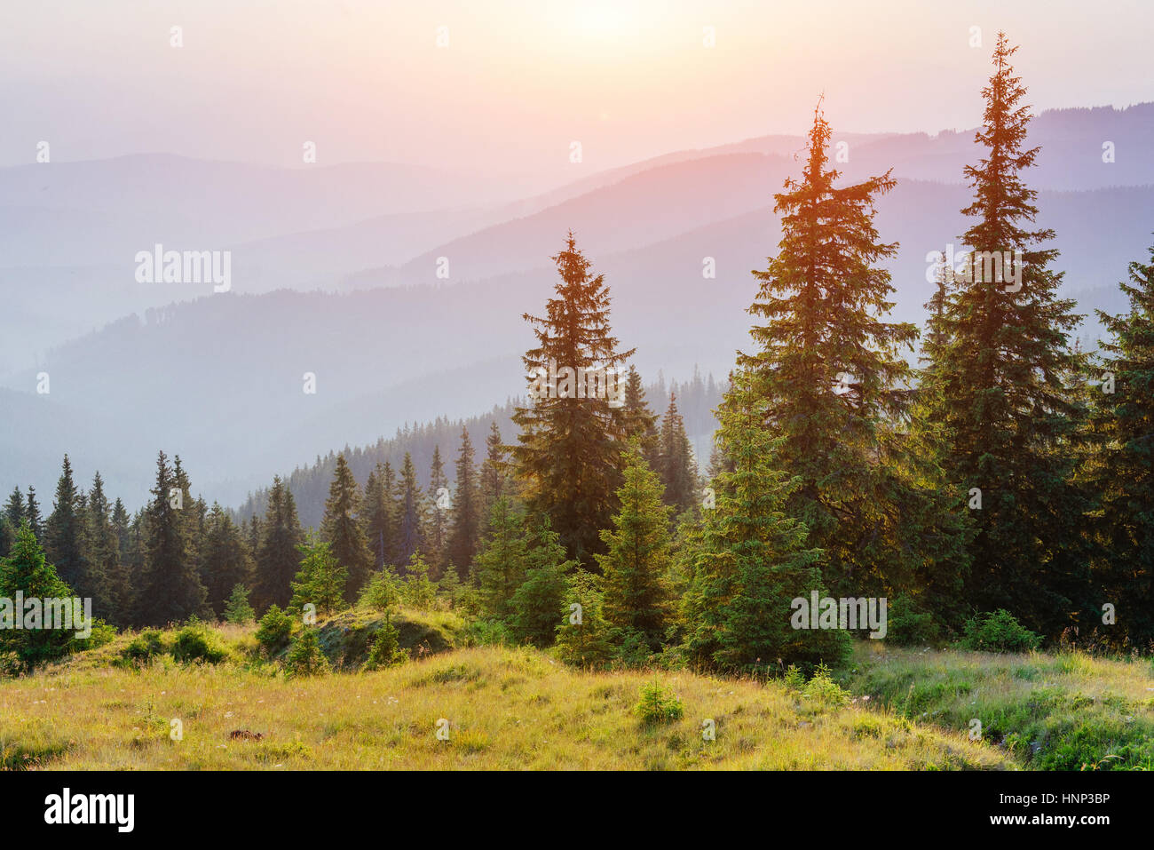 Fantastic foggy day and bright hills by sunlight Stock Photo - Alamy