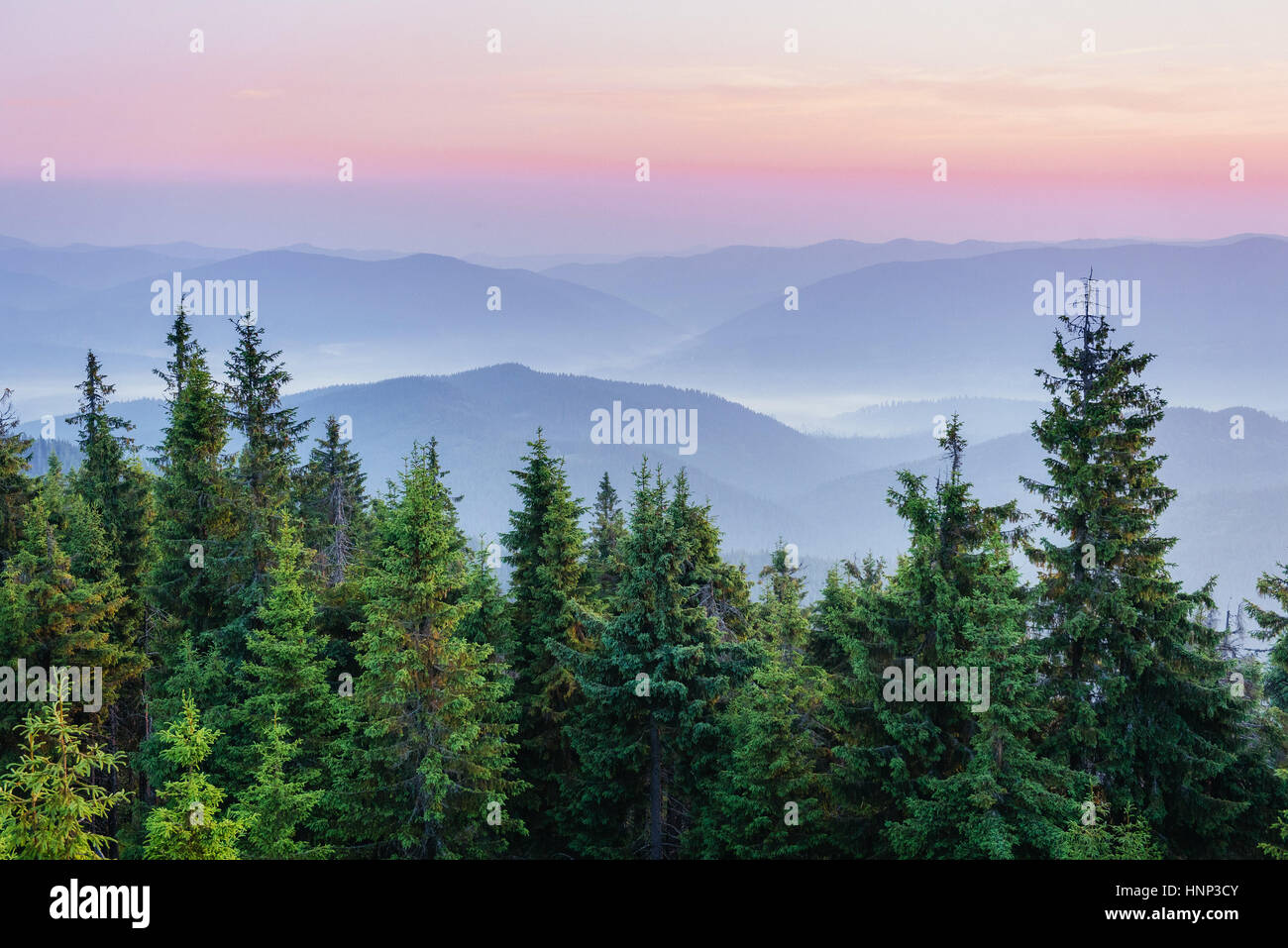 Fantastic foggy day and bright hills by sunlight Stock Photo - Alamy