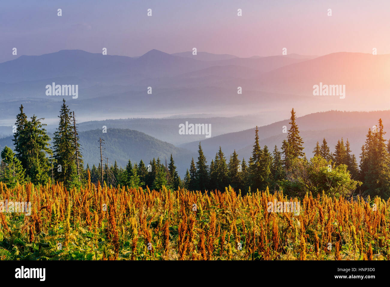 Fantastic foggy day and bright hills by sunlight Stock Photo - Alamy