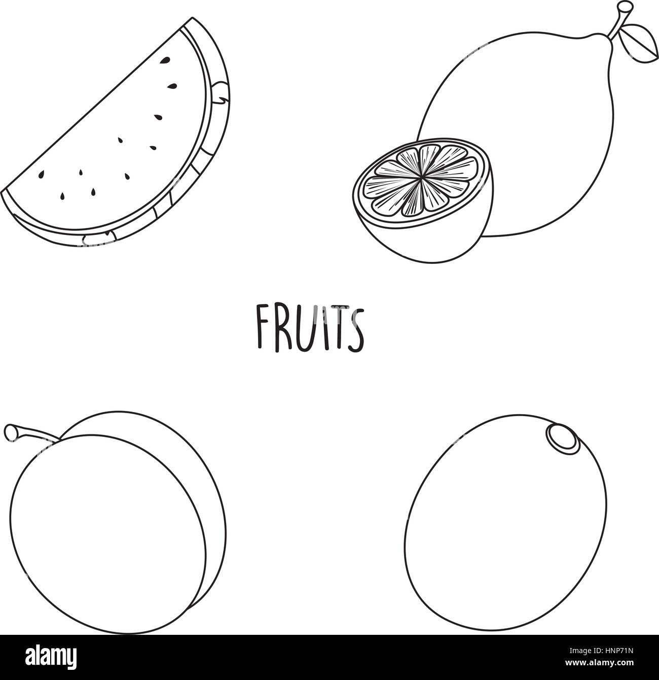 Line drawing fruits Stock Vector Image & Art Alamy