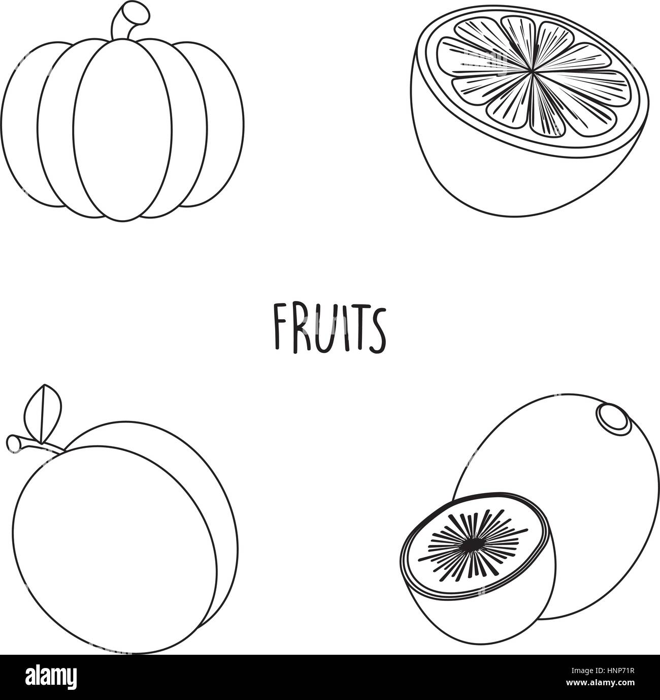 Line drawing fruits Stock Vector Image & Art Alamy