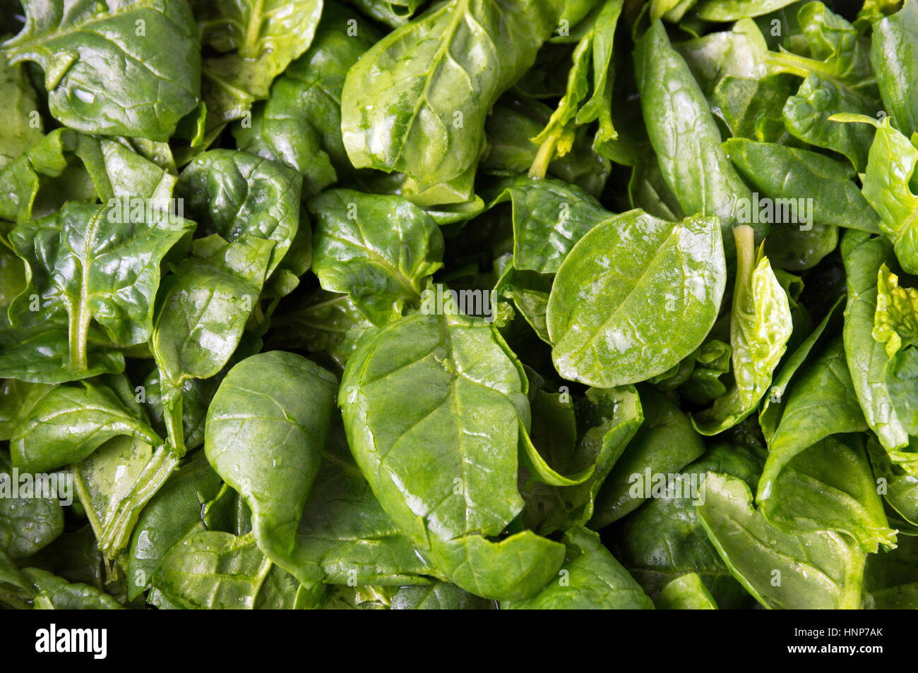 Fresh spinach leaves close up making background Stock Photo - Alamy