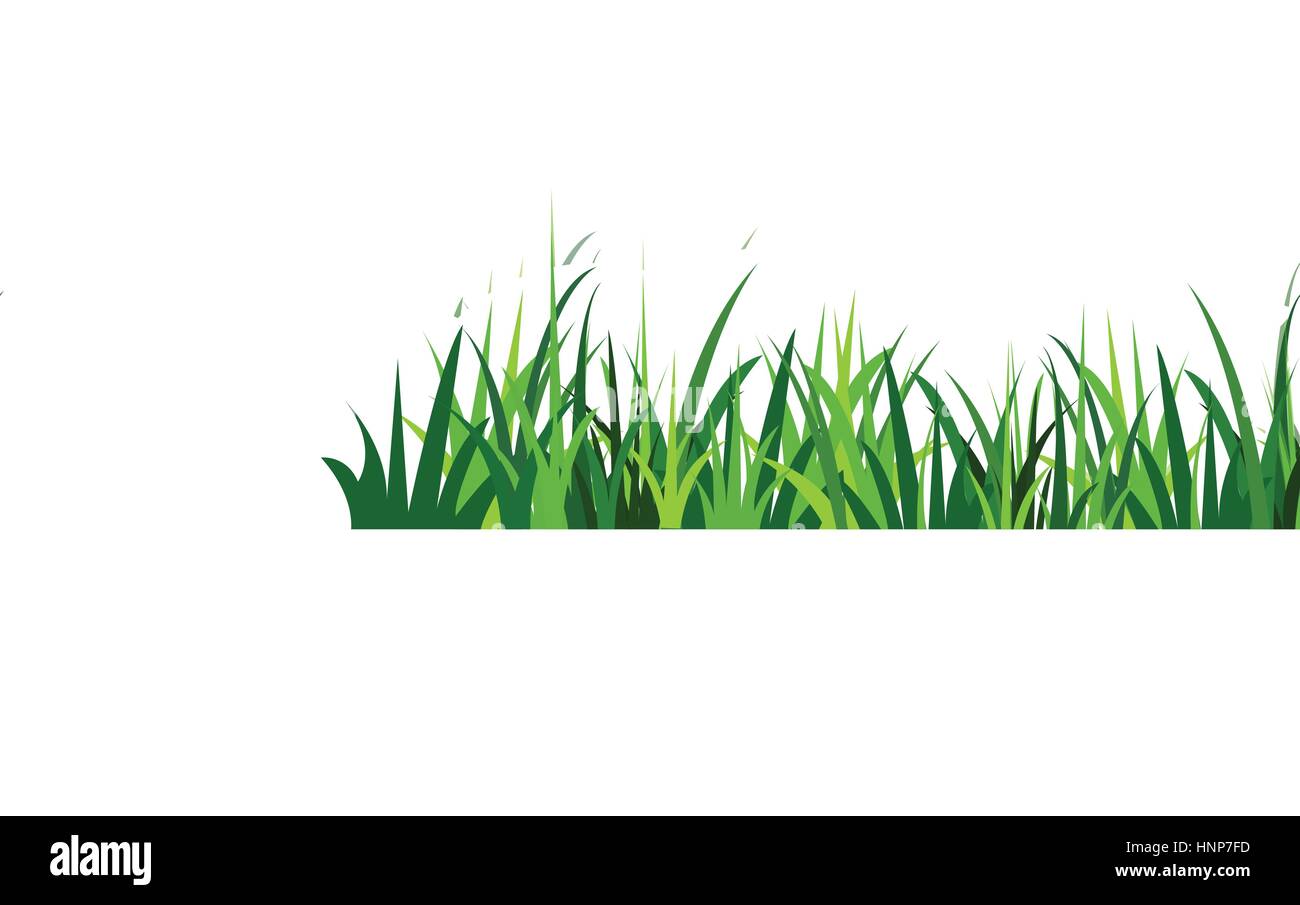 Green Grass seamless Stock Vector Image & Art - Alamy