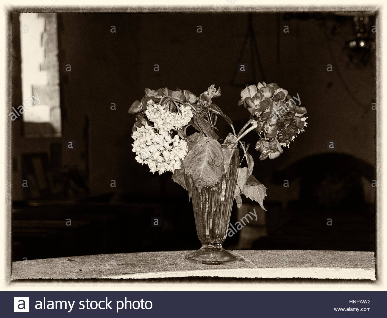 Dead Flowers Vase Stock Photos & Dead Flowers Vase Stock Images Alamy