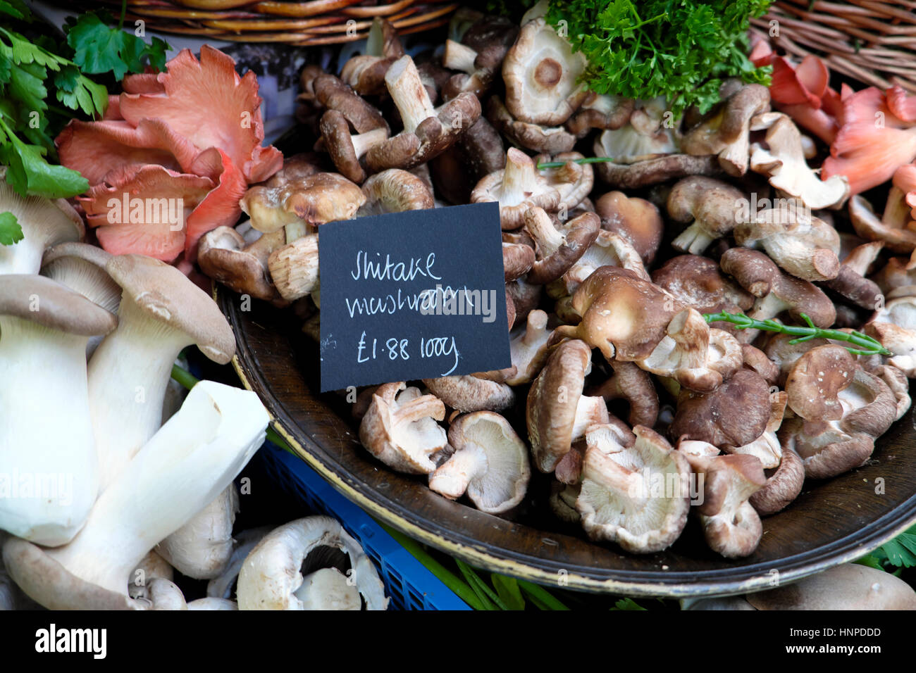 Mushrooms stall display at Borough Market near London Bridge in Southwark, South London, UK  KATHY DEWITT Stock Photo