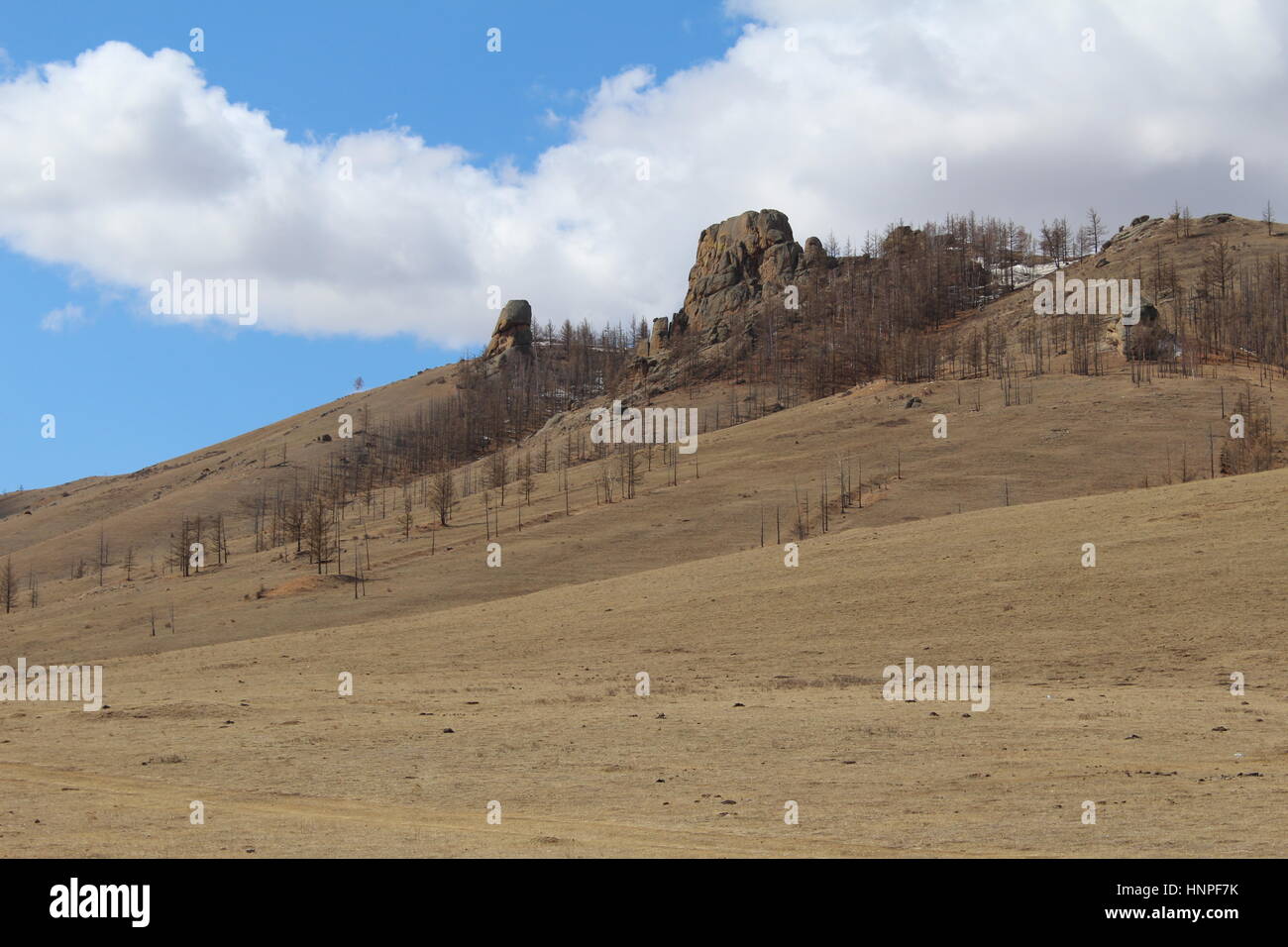 Hills and rocks in Gorkhi Terelj National Park, Mongolia Stock Photo Alamy