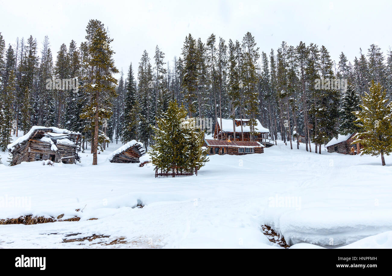 Rustic buildings sit among the trees at Burgdorf Hot Springs  near McCall, ID. Light snowfall softens the landscape. Stock Photo