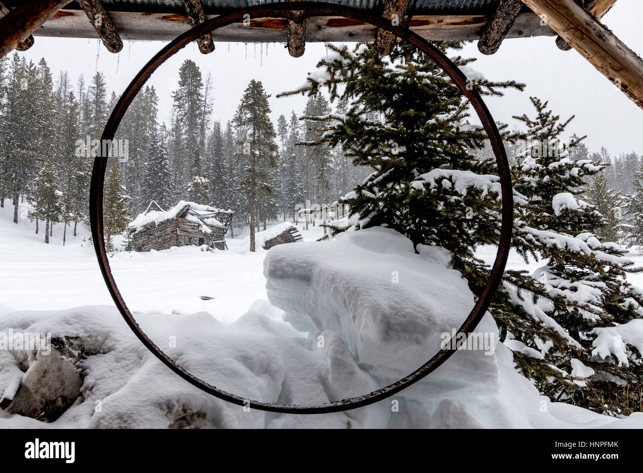 Rustic buildings sit among the trees at Burgdorf Hot Springs. Light snowfall softens the landscape. Stock Photo