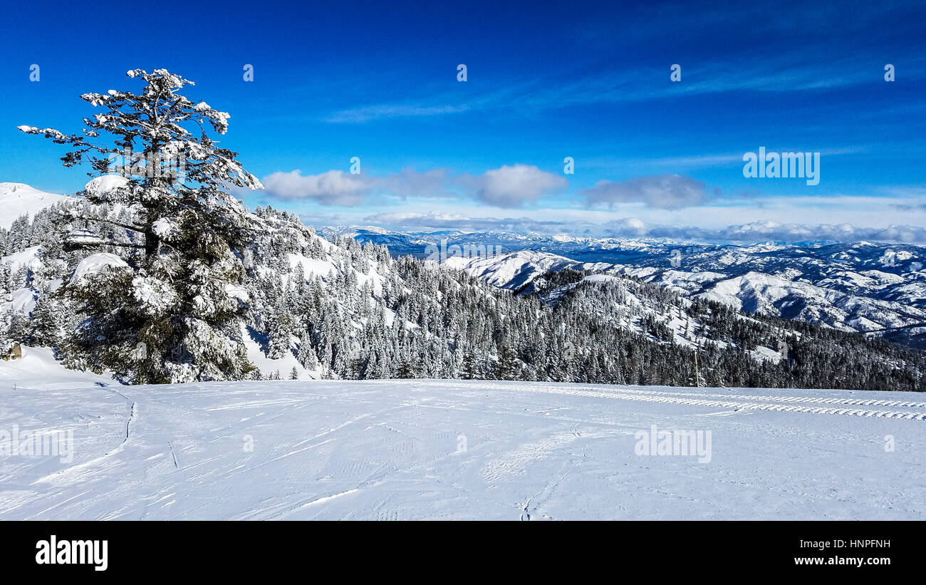 View from the top at Bogus Basin, the ski resort outside Boise, ID. Stock Photo