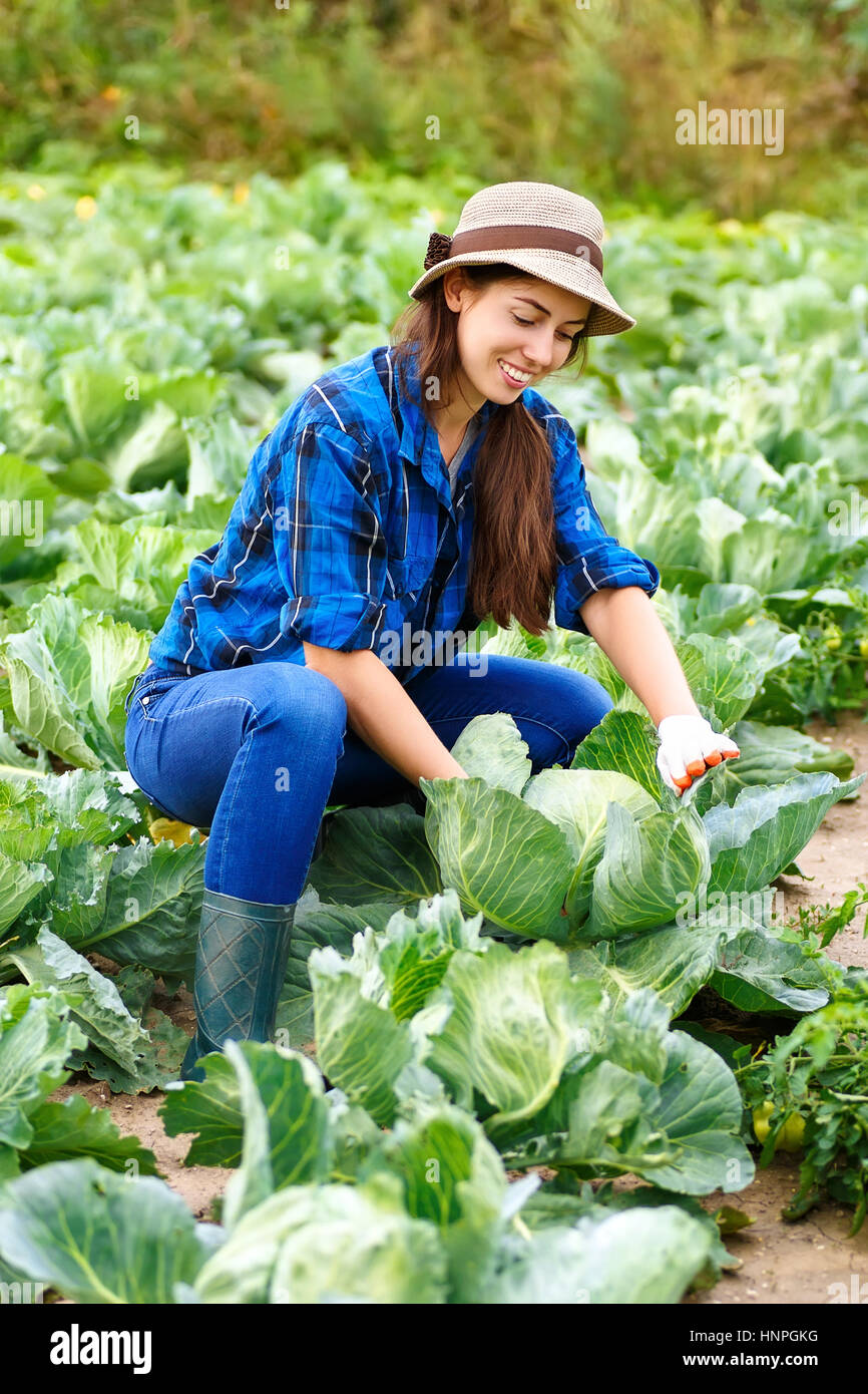 Woman in plant of cabbage. Gardener with cabbage in garden. Harvest. Young farmer harvesting cabbage. Happy young girl with cabbage. Girl shows a crop Stock Photo