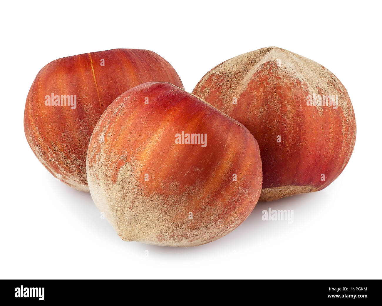 Nuts filberts isolated on white background. Three whole hazelnuts