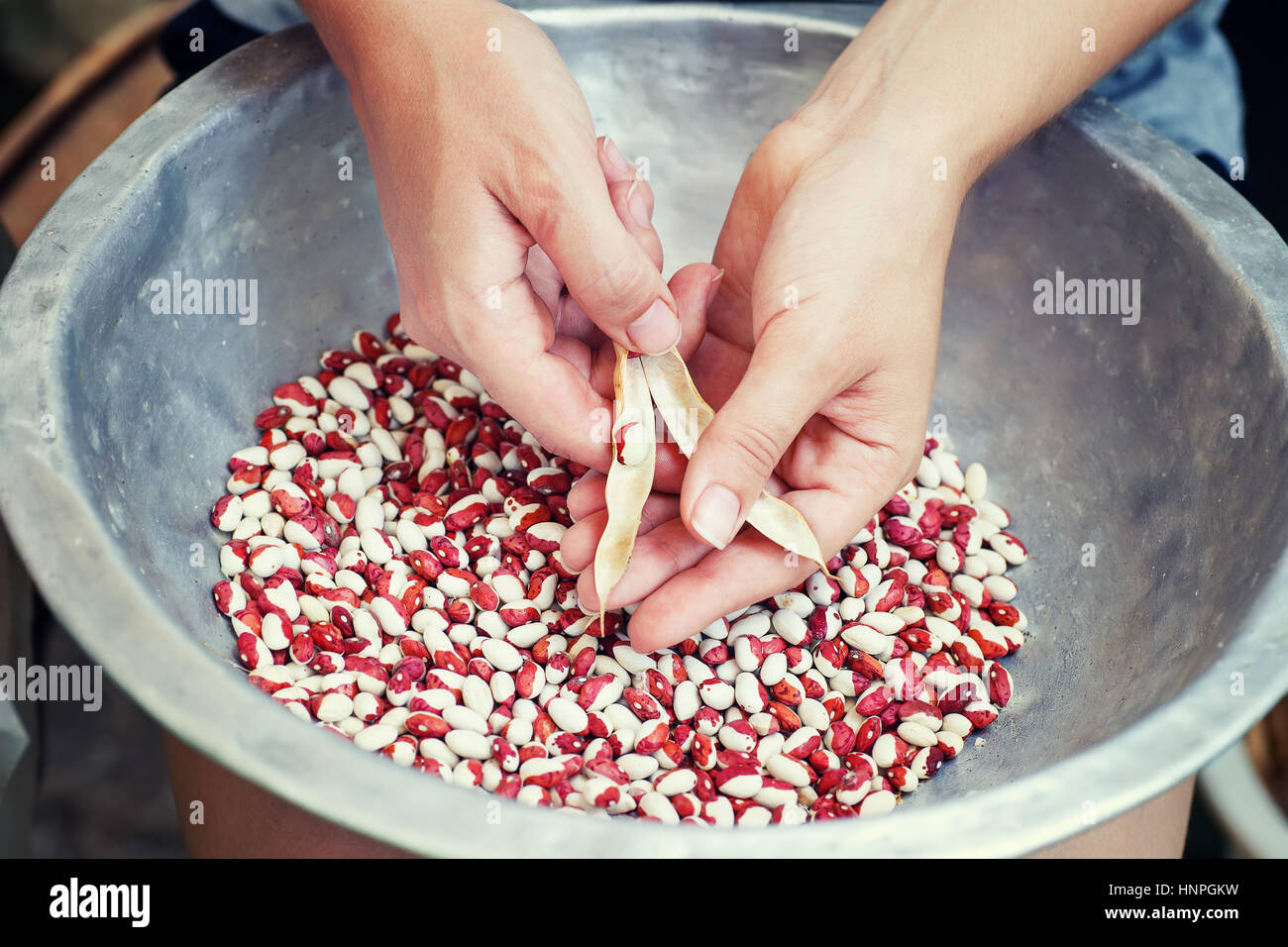 kidney beans in hands. Woman hold kidney beans in hand. Woman cleans