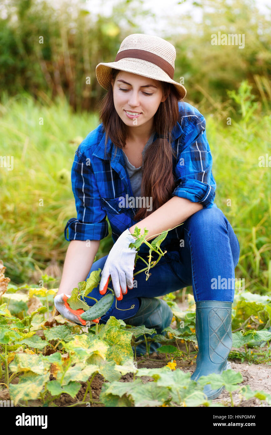 Girl Farmer Picking Cucumber In The Garden Gardener Woman With