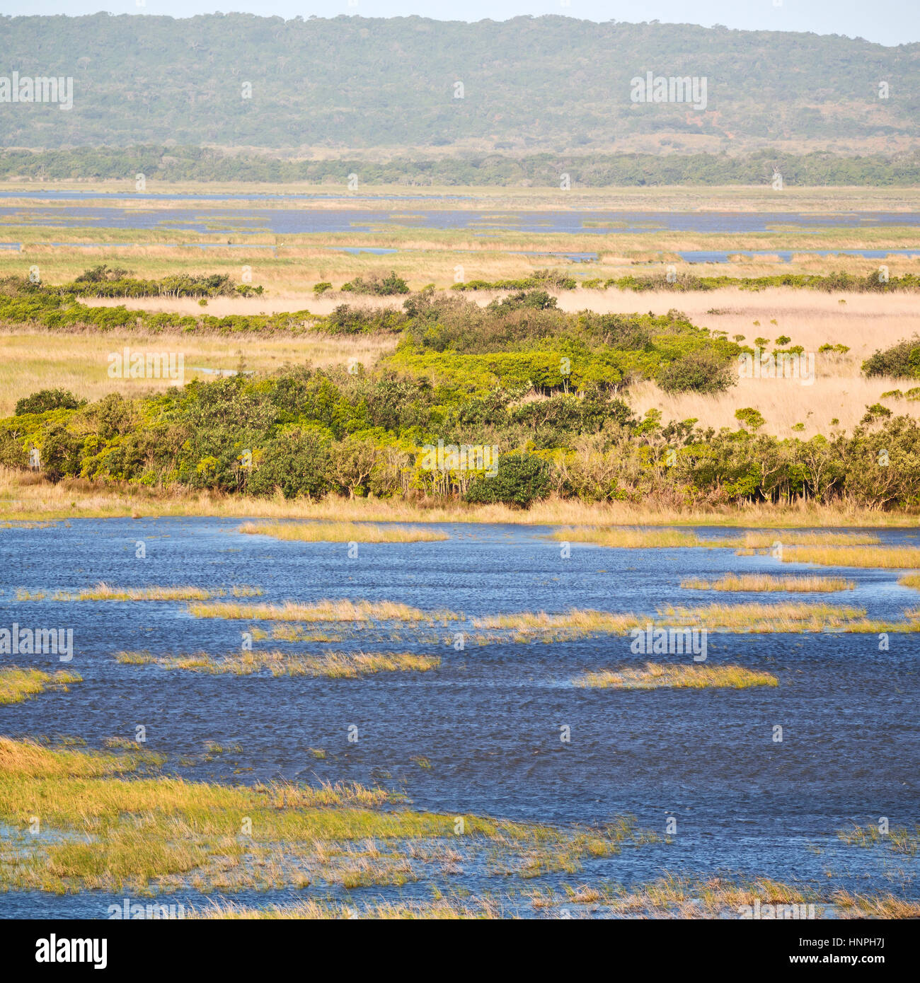 blur in south africa pond lake isimagaliso nature reserve and bush