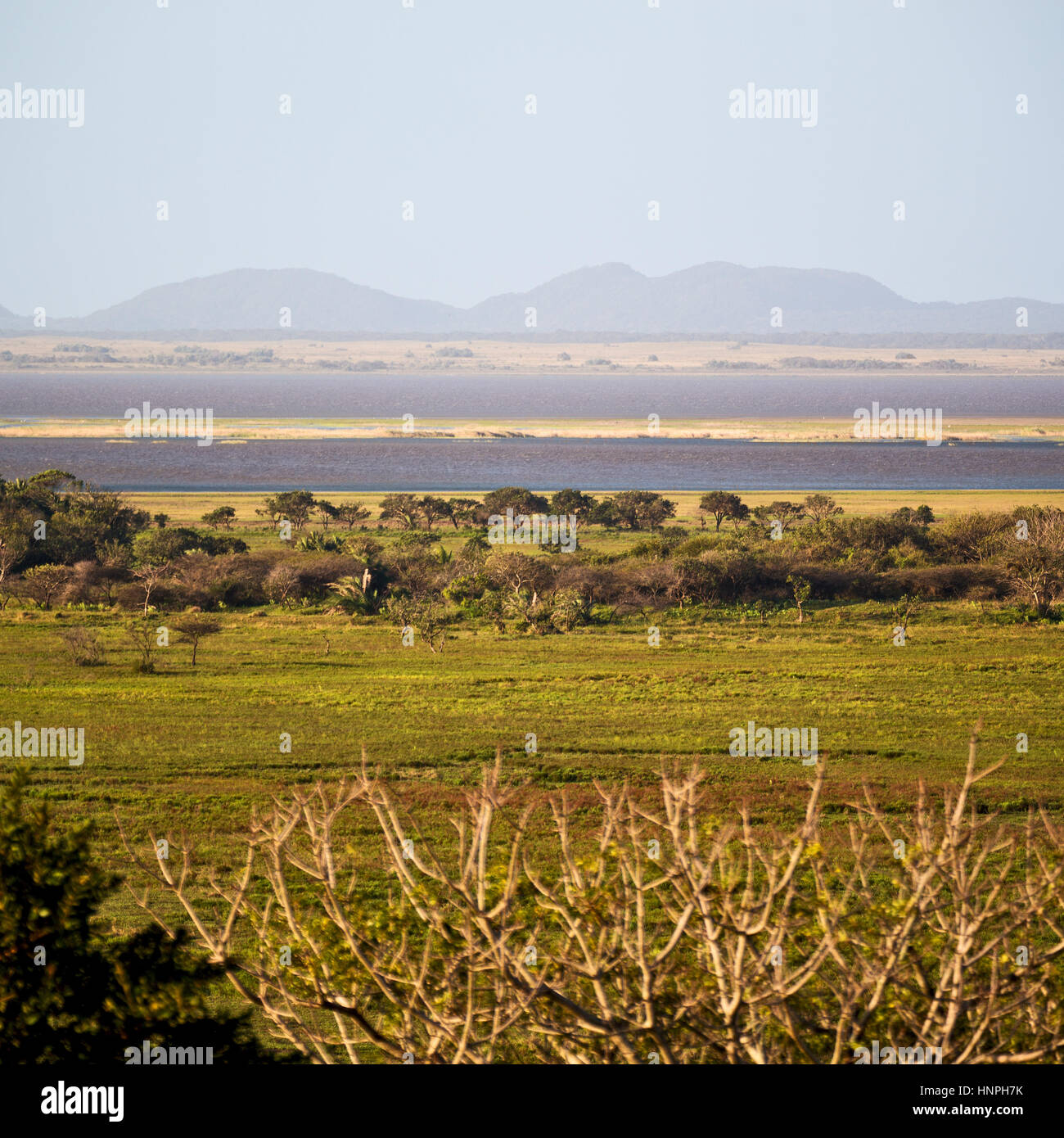 blur in south africa pond lake isimagaliso nature reserve and bush