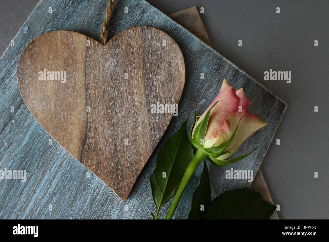 Heart and rose Stock Photo