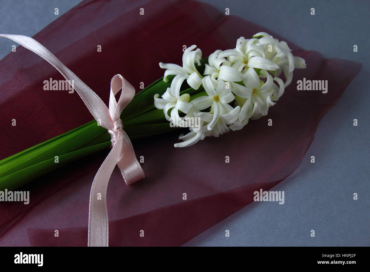 Hyacinth composition Stock Photo