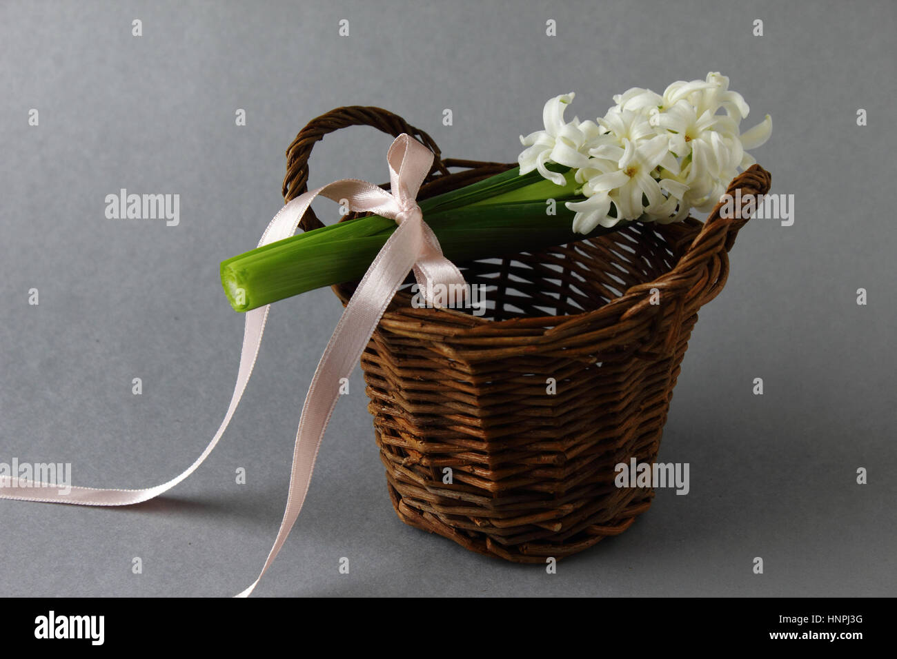 Hyacinth with basket Stock Photo