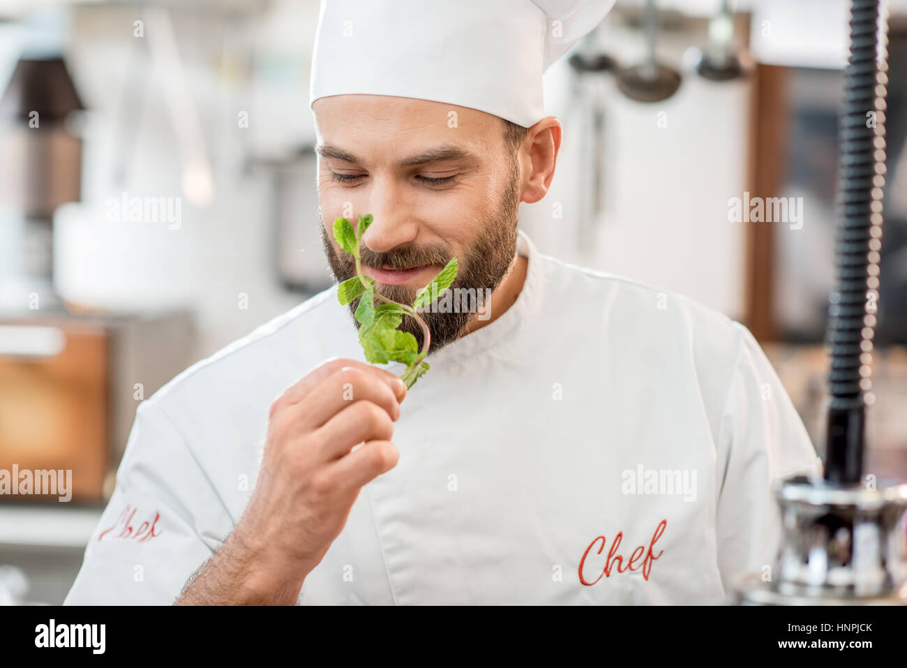 Handsome chef cook checking the freshness of green mint at the restaurant kitchen Stock Photo