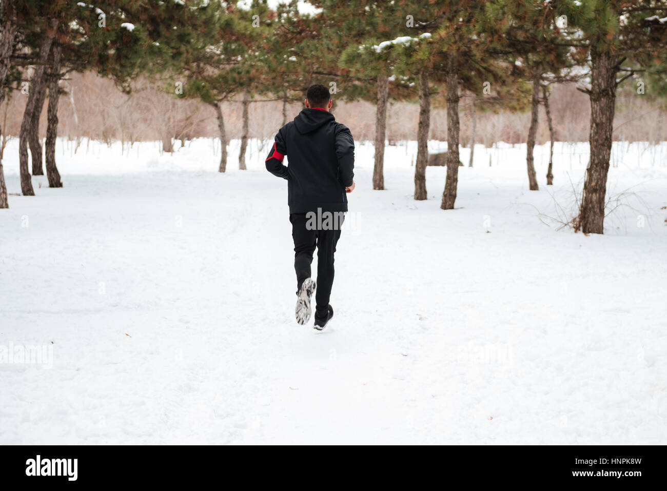 Back view of a young man running on snow covered winter road in forest ...
