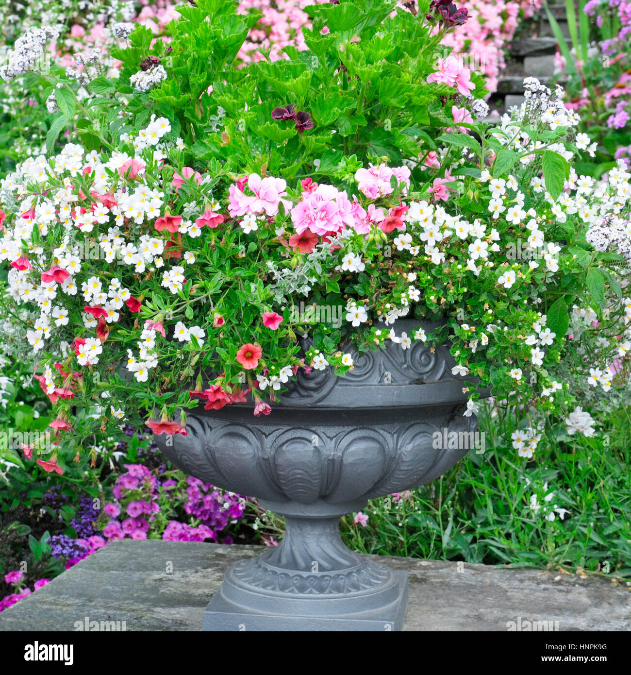 beautiful flower bed in vase Stock Photo Alamy