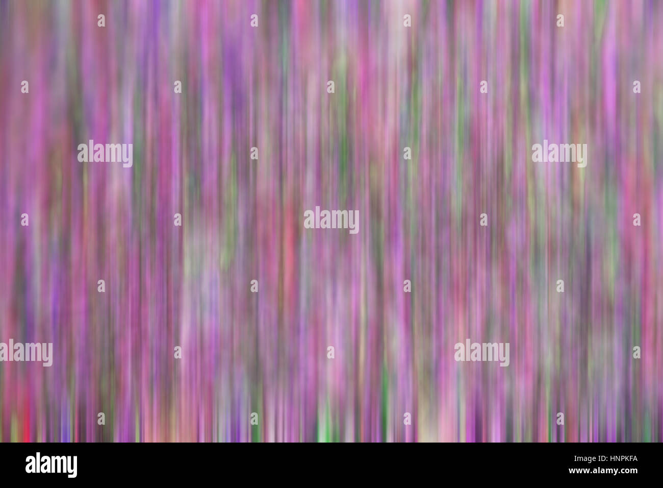 the abstract colors and blur background texture Stock Photo - Alamy