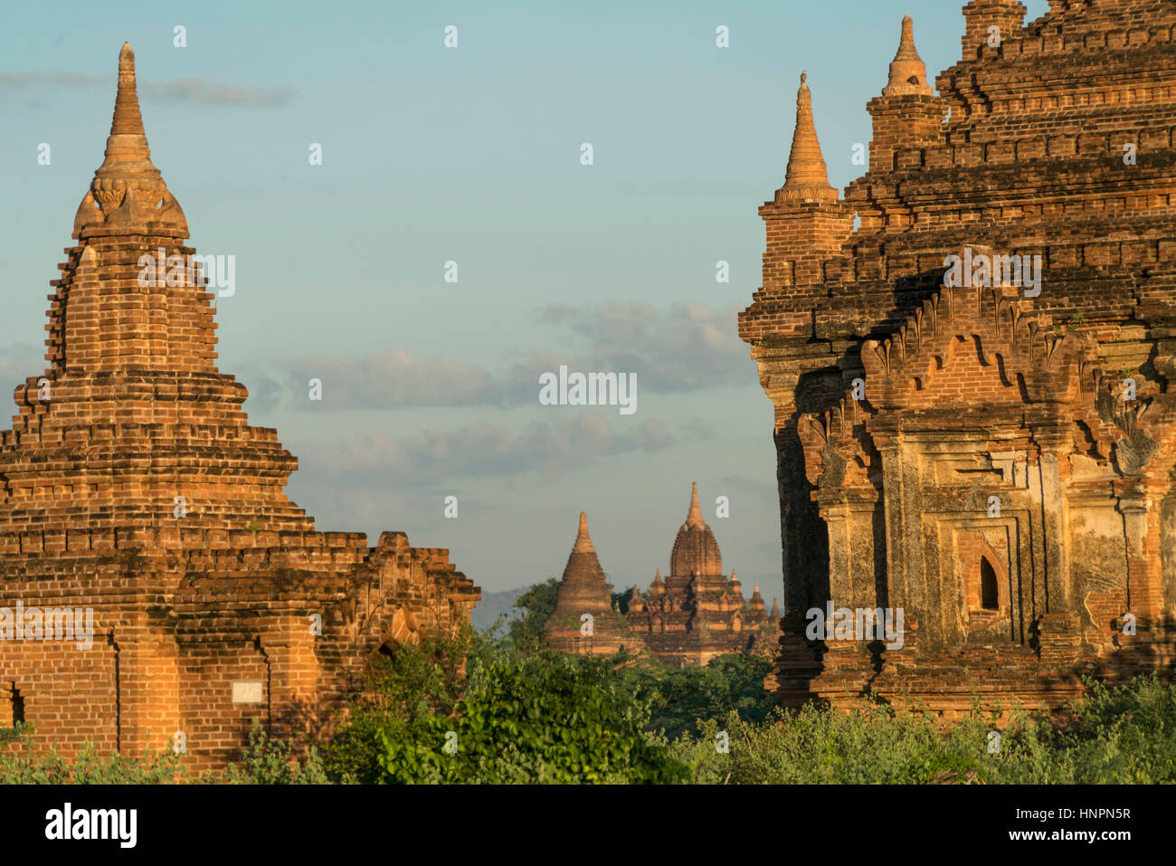 Tempel und Pagoden in der Ebene von Bagan, Myanmar, Asien  |  Bagan Plains temples and pagodas, Bagan, Myanmar, Asia Stock Photo