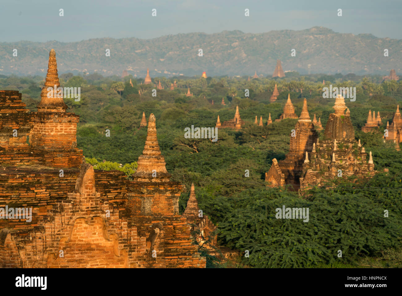 Tempel und Pagoden in der Ebene von Bagan, Myanmar, Asien  |  Bagan Plains temples and pagodas, Bagan, Myanmar, Asia Stock Photo