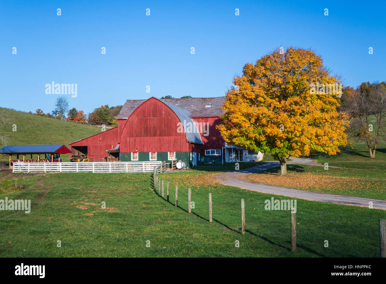 A farm in Coshocton County, Ohio, USA. Stock Photo