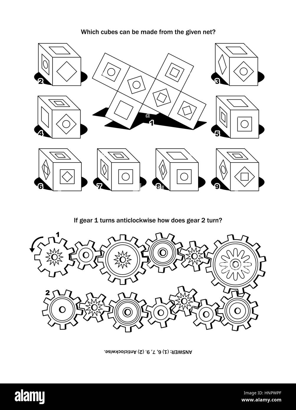 Puzzle page with two puzzles: Which cubes can be made from the given net? If gear 1 turns anticlockwise how does gear 2 turn? Answer included. Stock Vector