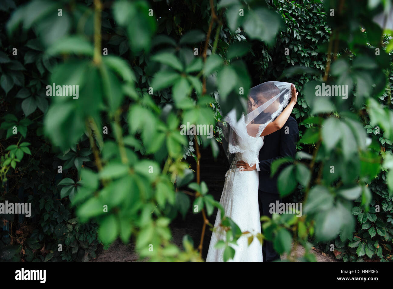 beautiful young wedding couple kissing , blonde bride with flowe Stock Photo