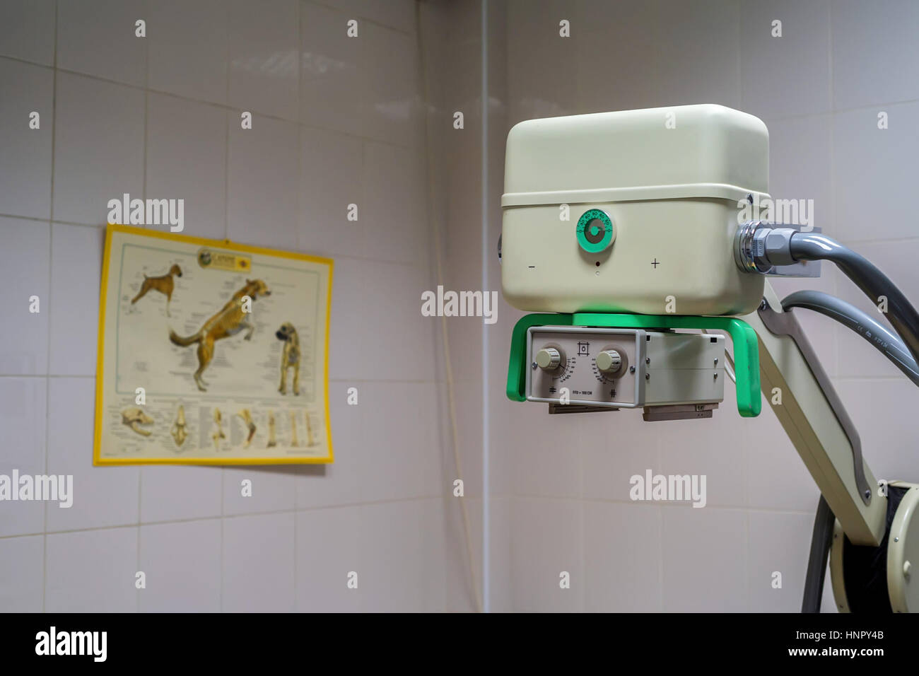 X-ray machine in veterinary hospital Stock Photo - Alamy
