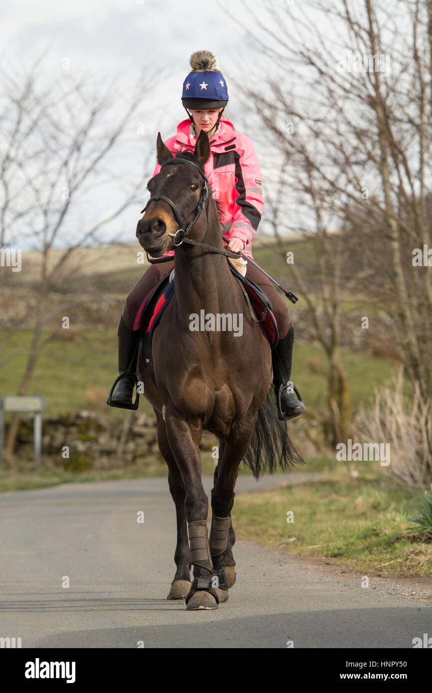 Teenage girl riding a thoroughbred horse along a rural road in North Yorkshire, UK. Stock Photo