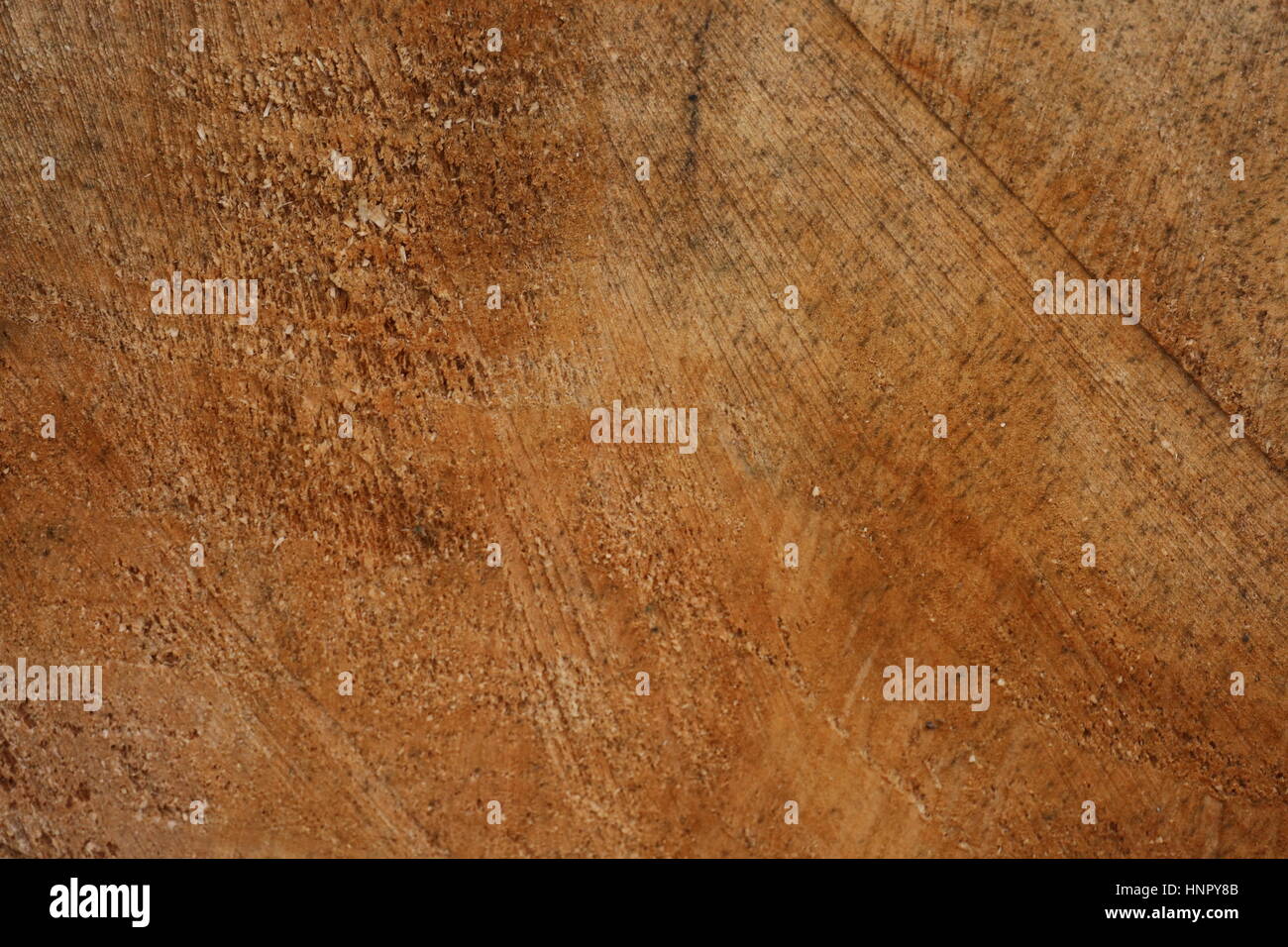 Holz Jahresringe Stock Photo