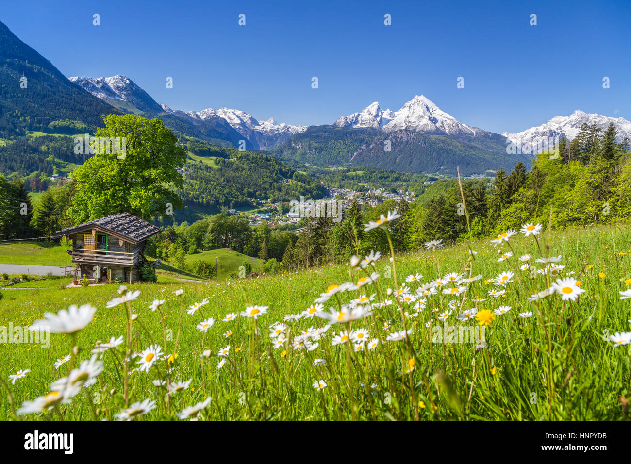 Idyllic mountain scenery in the Alps with traditional old mountain chalet and fresh green meadows on a beautiful sunny day with blue sky in springtime Stock Photo