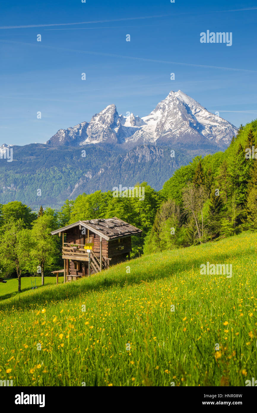 Beautiful view of idyllic mountain scenery in the Alps with traditional old mountain chalet and fresh green mountain pastures with blooming flowers Stock Photo