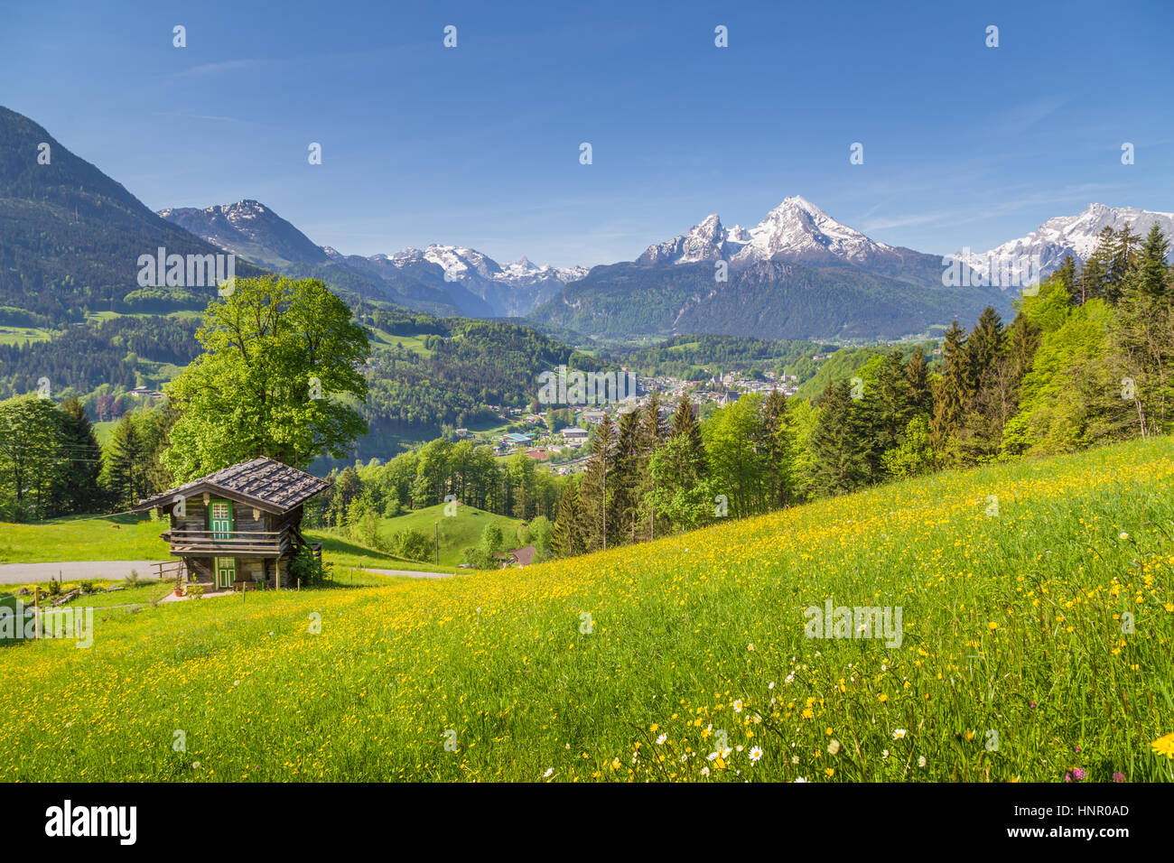 Panoramic view of idyllic mountain scenery in the Alps with traditional old mountain chalet and fresh green mountain pastures with blooming flowers Stock Photo